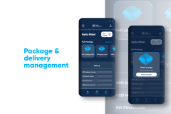 Package & delivery management